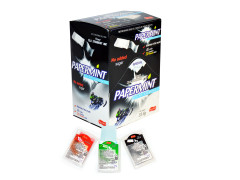 Пастилка мятная тающая Papermint 24*48*0,7гр